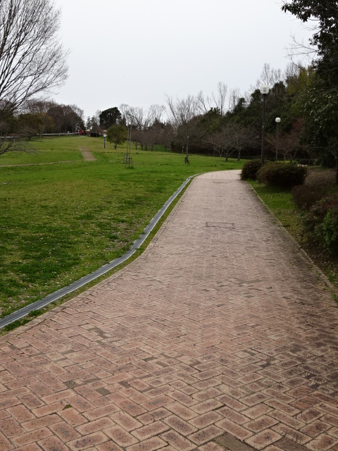 鴻ノ巣山運動公園の大芝生広場の坂道１