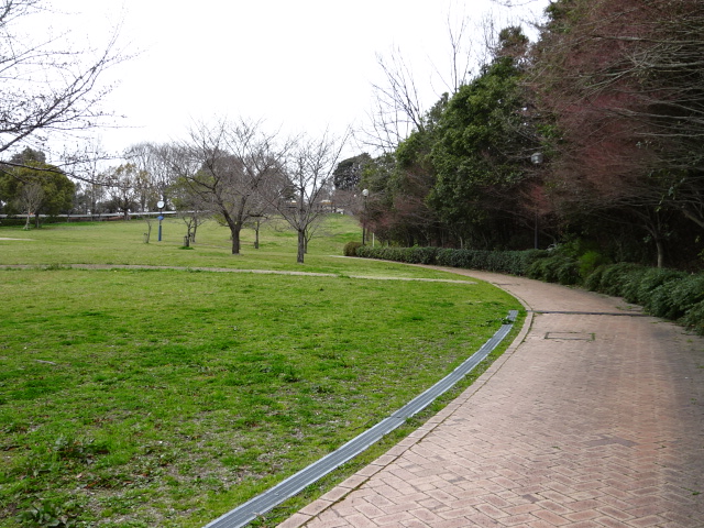 鴻ノ巣山運動公園の大芝生広場の坂道３