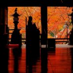 奈良の長谷寺の紅葉の見頃