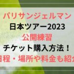 パリサンジェルマン日本ツアー2023公開練習チケット購入方法！日程・場所や料金も紹介